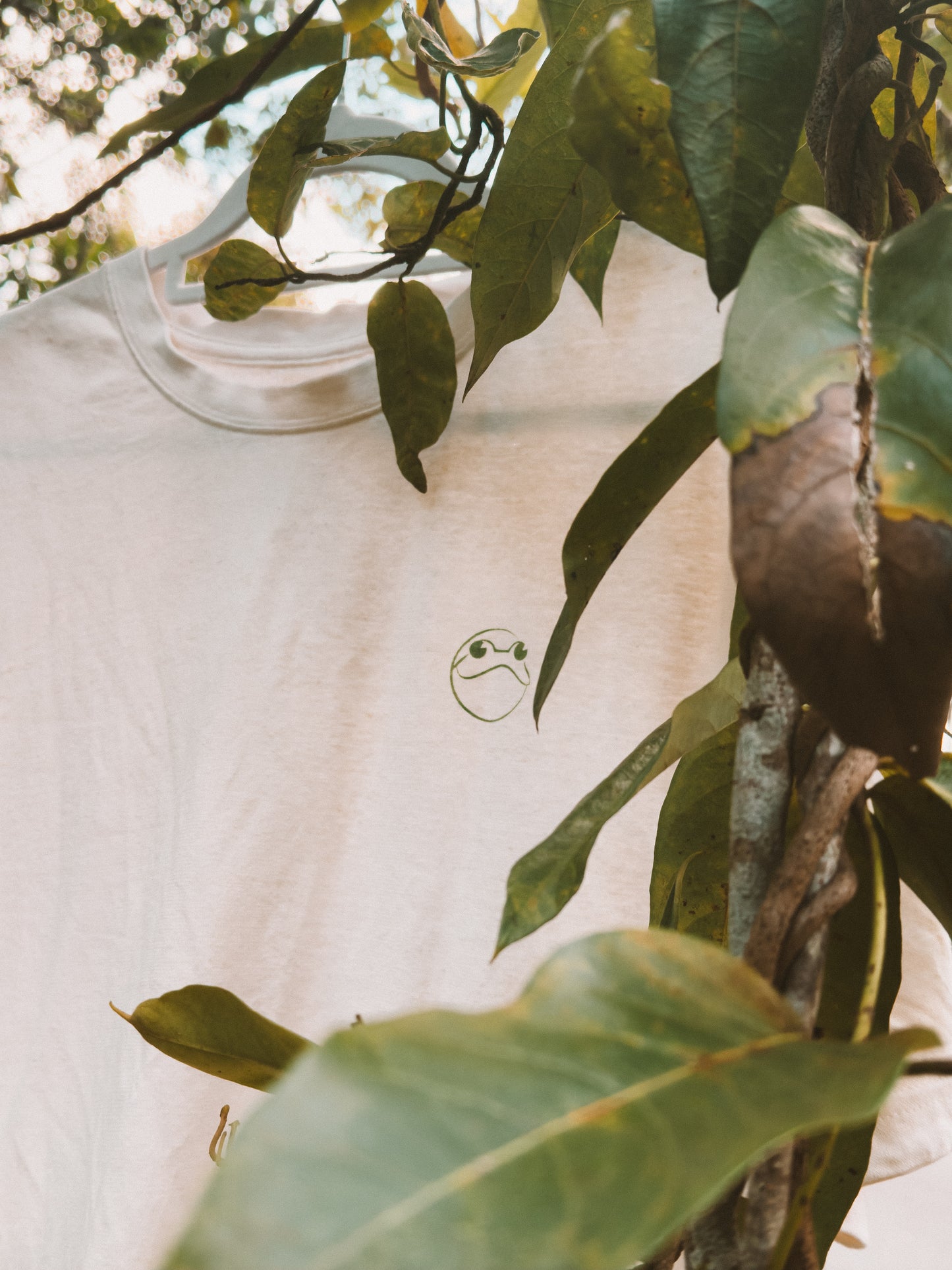 Harvest & Harmony: Tees